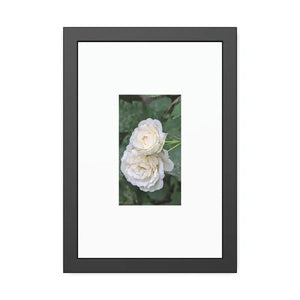 Framed Paper Posters White Roses Fine Art - Dipaliz - 12″ x 18″ (vertical) / Black Frame / Semi Glossy - Prints &