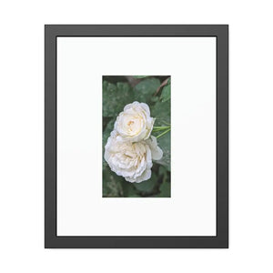 Framed Paper Posters White Roses Fine Art - Dipaliz - 16’’ x 20’’ (vertical) / Black Frame / Semi Glossy - Prints &