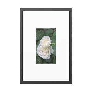 Framed Paper Posters White Roses Fine Art - Dipaliz - 20″ x 30″ (vertical) / Black Frame / Semi Glossy - Prints &