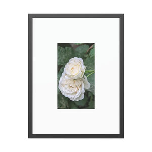 Framed Paper Posters White Roses Fine Art - Dipaliz - 24’’ x 32’’ (vertical) / Black Frame / Prints & Visual Artwork