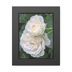 Framed Paper Posters White Roses Fine Art - Dipaliz - 6’’ x 8’’ (vertical) / Black Frame / Semi Glossy - Prints &