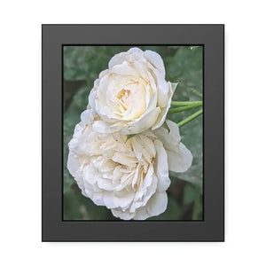 Framed Paper Posters White Roses Fine Art - Dipaliz - 8″ x 10″ (vertical) / Black Frame / Prints & Visual Artwork