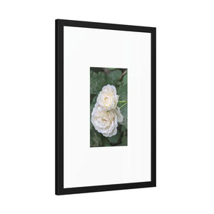 Framed Paper Posters White Roses Fine Art - Dipaliz - Prints & Visual Artwork