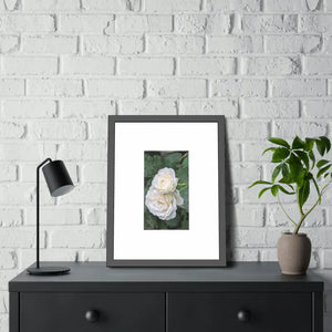 Framed Paper Posters White Roses Fine Art - Dipaliz - Prints & Visual Artwork