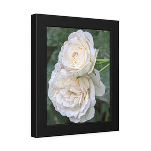 Framed Paper Posters White Roses Fine Art - Dipaliz - Prints & Visual Artwork