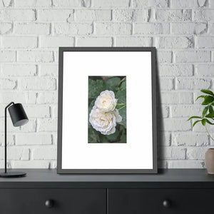 Framed Paper Posters White Roses Fine Art - Dipaliz - Prints & Visual Artwork