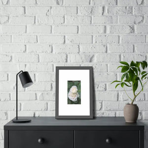 Framed Paper Posters White Roses Fine Art - Dipaliz - Prints & Visual Artwork