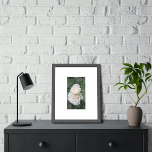Framed Paper Posters White Roses Fine Art - Dipaliz - Prints & Visual Artwork