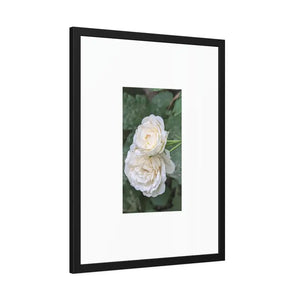 Framed Paper Posters White Roses Fine Art - Dipaliz - Prints & Visual Artwork
