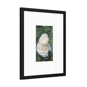 Framed Paper Posters White Roses Fine Art - Dipaliz - Prints & Visual Artwork