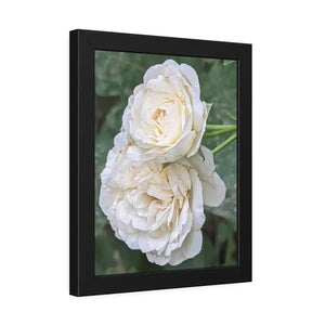 Framed Paper Posters White Roses Fine Art - Dipaliz - Prints & Visual Artwork