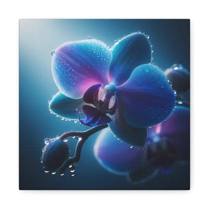 Canvas - Stunning Blue Orchid Gallery Wraps - Dipaliz 10″ x / 1.25’’