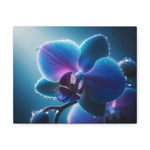 Canvas - Stunning Blue Orchid Gallery Wraps - Dipaliz 14″ x 11″ / 1.25’’