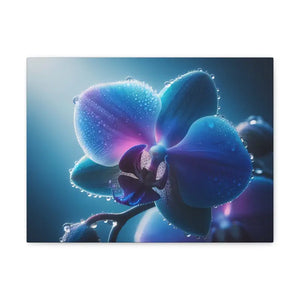 Canvas - Stunning Blue Orchid Gallery Wraps - Dipaliz 16″ x 12″ / 1.25’’