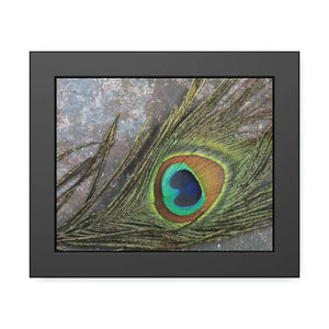 Framed Paper Peacock Feather Art Posters Bold Wall Decor - Dipaliz - 10″ x 8″ (horizontal) / Black Frame / Semi Glossy