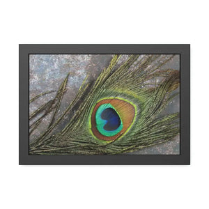 Framed Paper Peacock Feather Art Posters Bold Wall Decor - Dipaliz - 18″ x 12″ (horizontal) / Black Frame / Fine