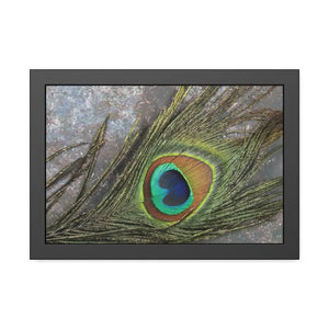 Framed Paper Peacock Feather Art Posters Bold Wall Decor - Dipaliz - 18″ x 12″ (horizontal) / Black Frame / Semi Glossy
