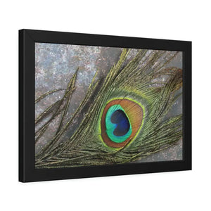 Framed Paper Peacock Feather Art Posters Bold Wall Decor - Dipaliz - Prints & Visual Artwork
