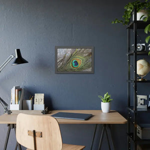 Framed Paper Peacock Feather Art Posters Bold Wall Decor - Dipaliz - Prints & Visual Artwork