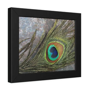 Framed Paper Peacock Feather Art Posters Bold Wall Decor - Dipaliz - Prints & Visual Artwork