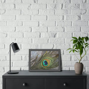 Framed Paper Peacock Feather Art Posters Bold Wall Decor - Dipaliz - Prints & Visual Artwork