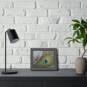 Framed Paper Peacock Feather Art Posters Bold Wall Decor - Dipaliz - Prints & Visual Artwork