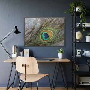 Framed Paper Peacock Feather Art Posters Bold Wall Decor - Dipaliz - Prints & Visual Artwork