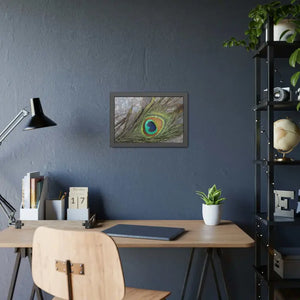 Framed Paper Peacock Feather Art Posters Bold Wall Decor - Dipaliz - Prints & Visual Artwork