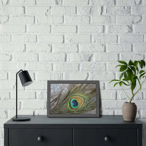 Framed Paper Peacock Feather Art Posters Bold Wall Decor - Dipaliz - Prints & Visual Artwork