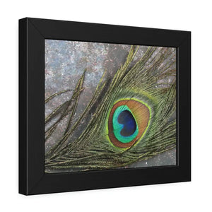 Framed Paper Peacock Feather Art Posters Bold Wall Decor - Dipaliz - Prints & Visual Artwork