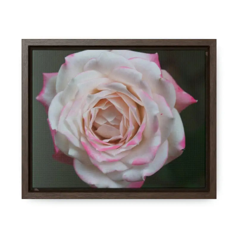 Elevate your Space with Pinkish White Rose Canvas Wrap - 10″ x 8″ / Walnut / Premium Gallery Wraps (1.25″)