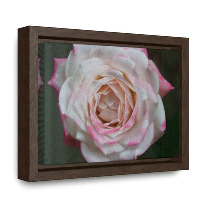 Elevate your Space with Pinkish White Rose Canvas Wrap