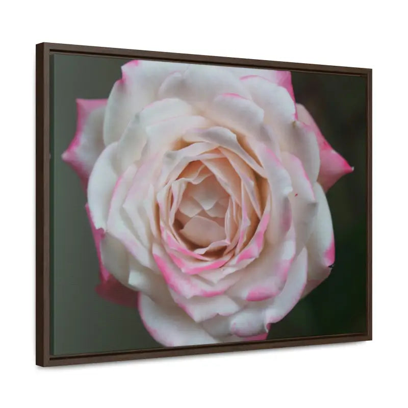 Elevate your Space with Pinkish White Rose Canvas Wrap