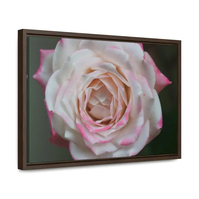 Elevate your Space with Pinkish White Rose Canvas Wrap