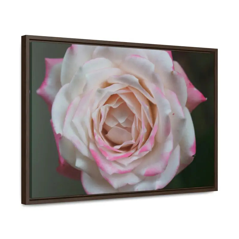 Elevate your Space with Pinkish White Rose Canvas Wrap