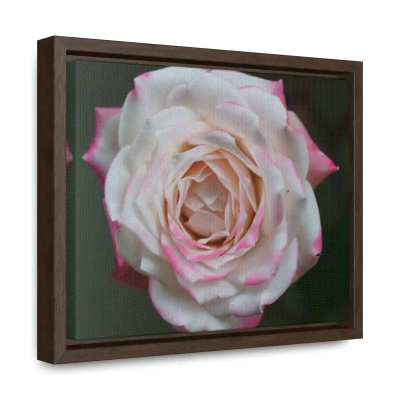 Elevate your Space with Pinkish White Rose Canvas Wrap