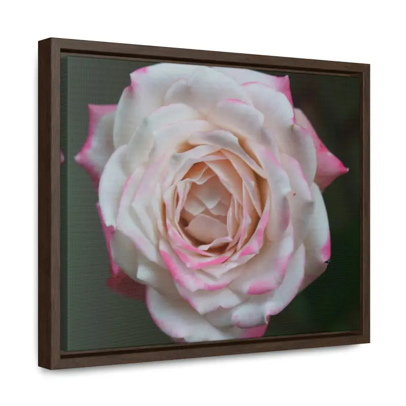 Elevate your Space with Pinkish White Rose Canvas Wrap