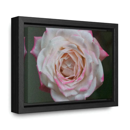 Elevate your Space with Pinkish White Rose Canvas Wrap