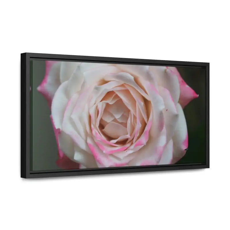 Elevate your Space with Pinkish White Rose Canvas Wrap