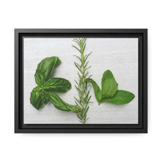 Elevate your Home Style with Rosemary Matte Canvas Art - 12’’ x 9’’ (horizontal) / Black / 1.25’’