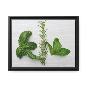 Rosemary Matte Canvas Wall Art - Bold Modern Decor - Dipaliz - 16″ x 12″ (horizontal) / Black / 1.25’’ - Posters Prints