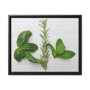 Rosemary Matte Canvas Wall Art - Bold Modern Decor - Dipaliz - 20″ x 16″ (horizontal) / Black / 1.25’’ - Posters Prints