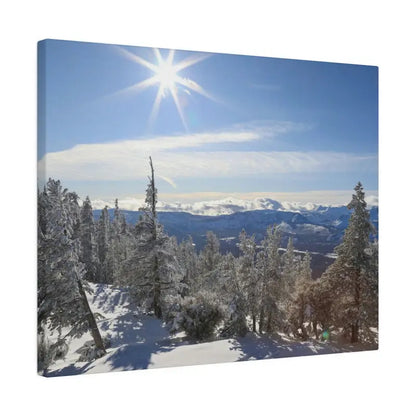 Winter Wonderland Matte Canvas for Elegant Home Decor