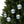 Winter Glass Ornaments Beveled Edges Christmas Decor - Dipaliz - Holiday