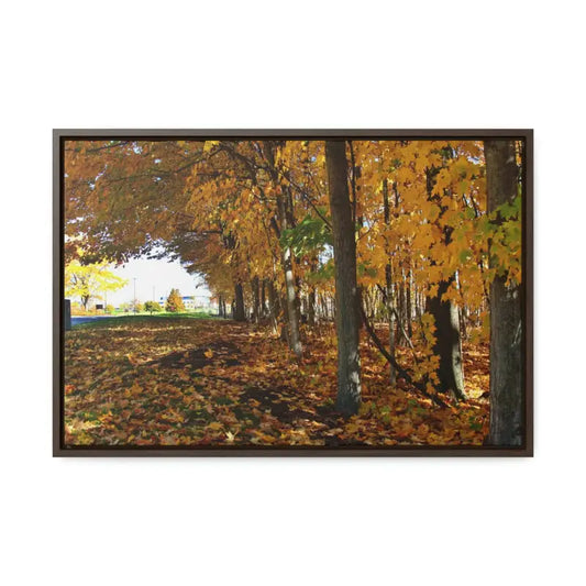 Enchanting Autumn Woods Gallery Canvas Wraps - 24″ x 16″ / Walnut / Premium (1.25″)