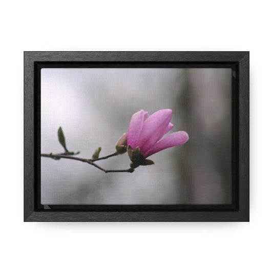 Enchanting Pink Magnolia Gallery Canvas Wraps for Home