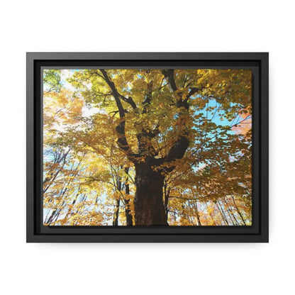 Cozy Autumn Magic: Yellow Leaves Matte Canvas Art - 12’’ x 9’’ (horizontal) / Black / 1.25’’