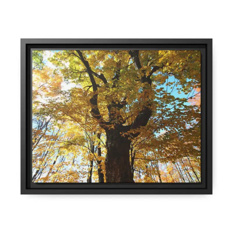 Cozy Autumn Magic: Yellow Leaves Matte Canvas Art - 14″ x 11″ (horizontal) / Black / 1.25’’