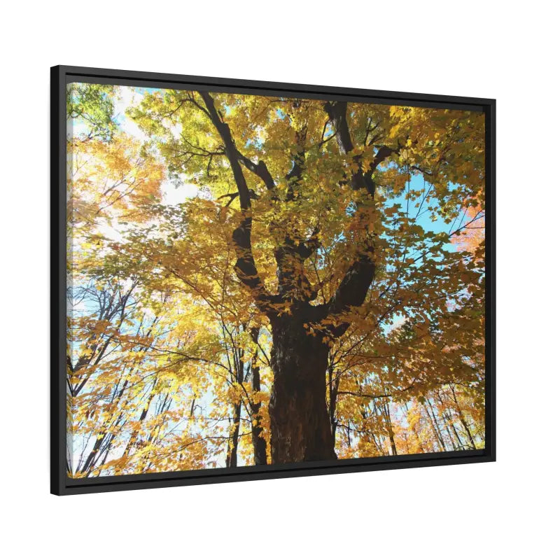 Cozy Autumn Magic: Yellow Leaves Matte Canvas Art