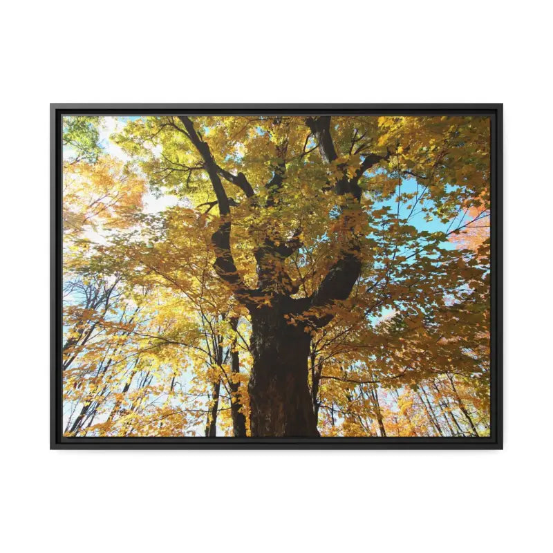 Cozy Autumn Magic: Yellow Leaves Matte Canvas Art - 32’’ x 24’’ (horizontal) / Black / 1.25’’